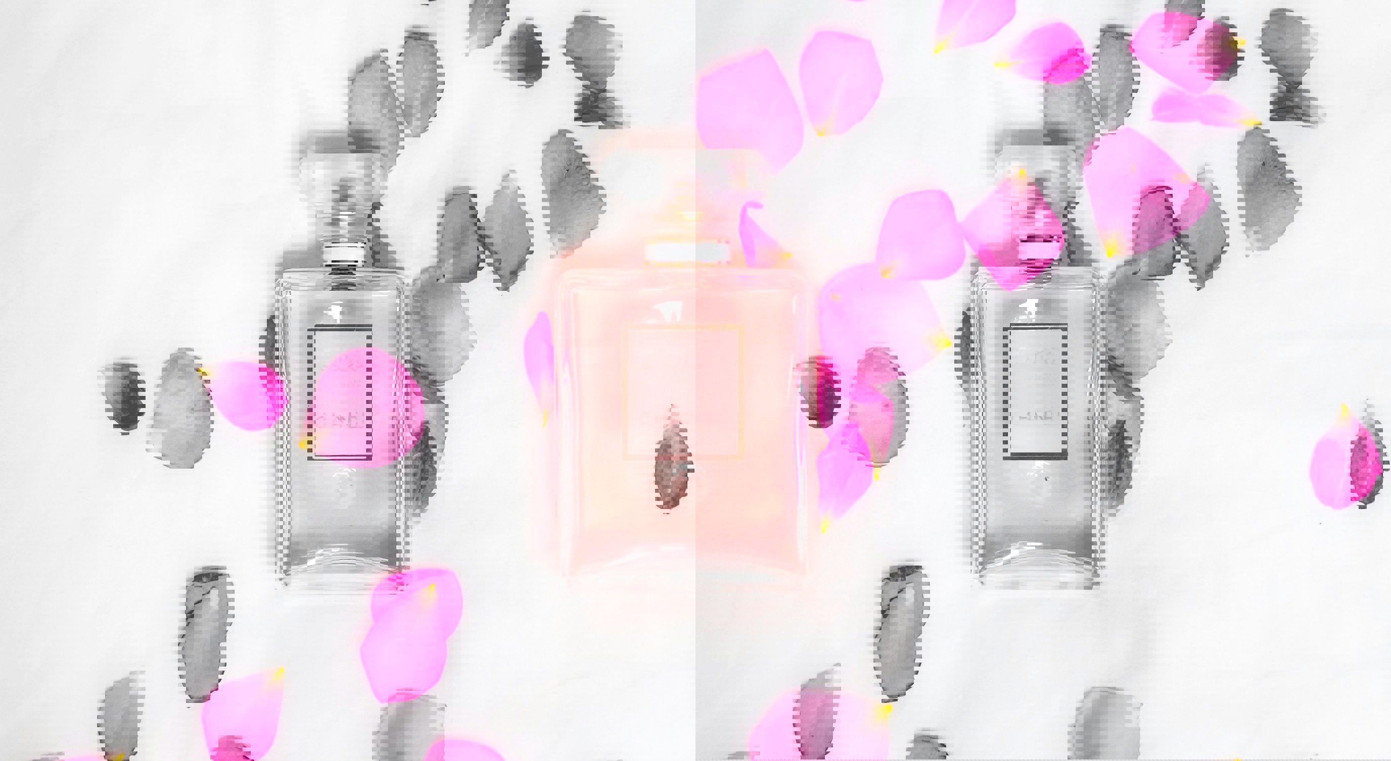 Perfume bottle surrounded by pink rose petals on a white background