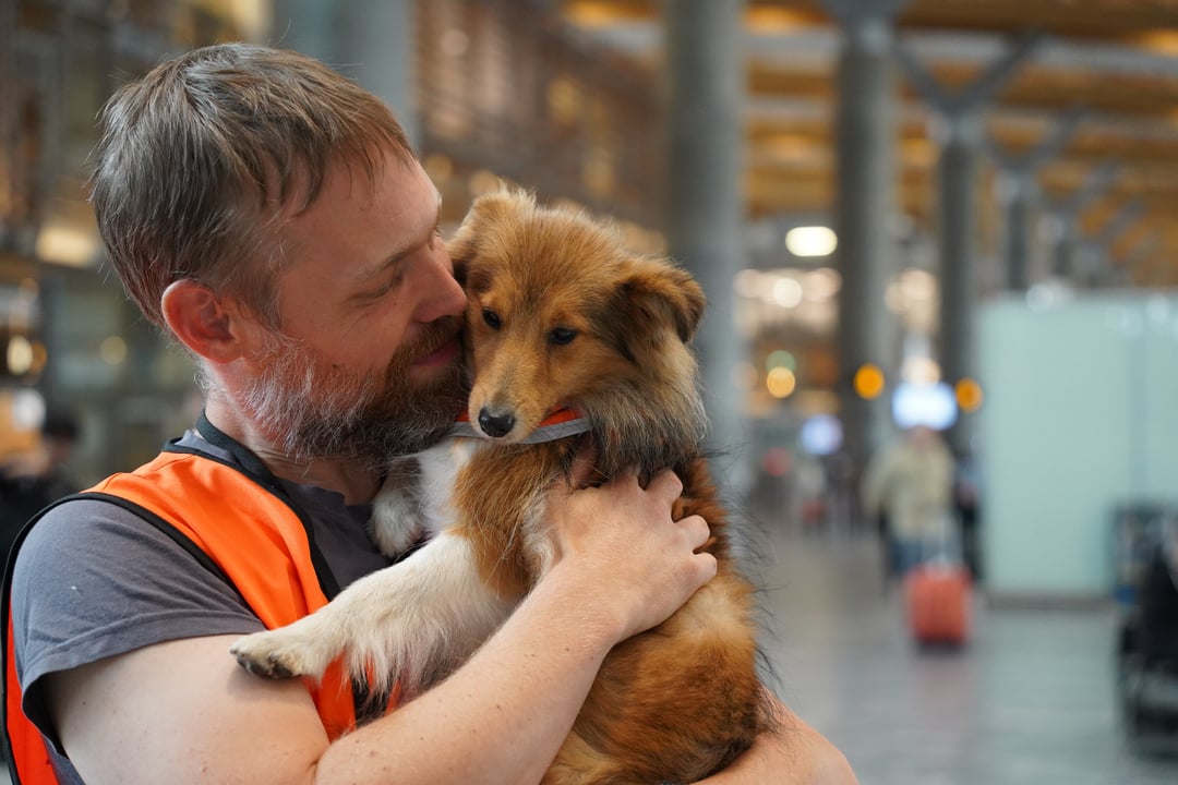 A man with short hair wearing a t-shirt and orange reflective vest inside the terminal, cuddling a small light brown dog he is holding in his arms.