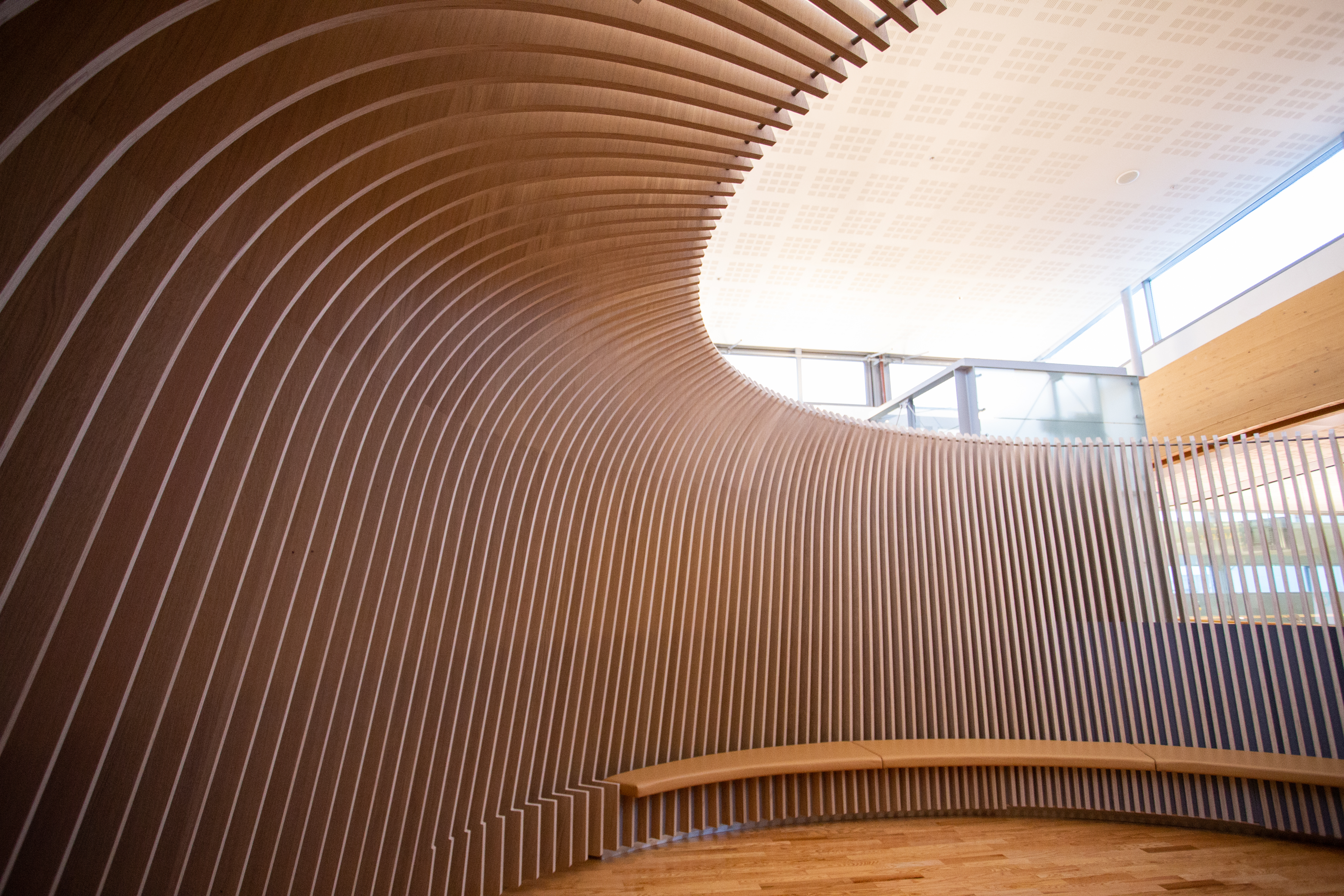 Moderne interiørdesign med bogeformede trepanel og naturleg lys i eit rom for stillheit.
