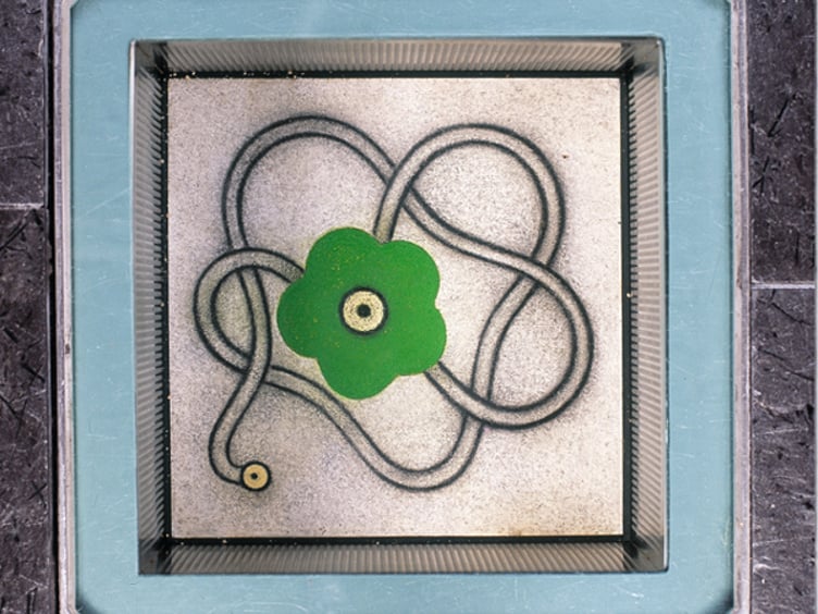 Grønn blomst og knyttet tau i firkantet ramme med glass, kunstverk