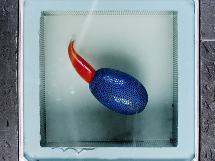 Blå skulptur med rødt utspring sett ovenfra, plassert i en glassinnrammet åpning