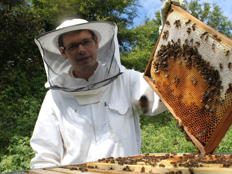 Beekeeper in protective gear holding a honeycomb frame full of bees and honey in a green garden.